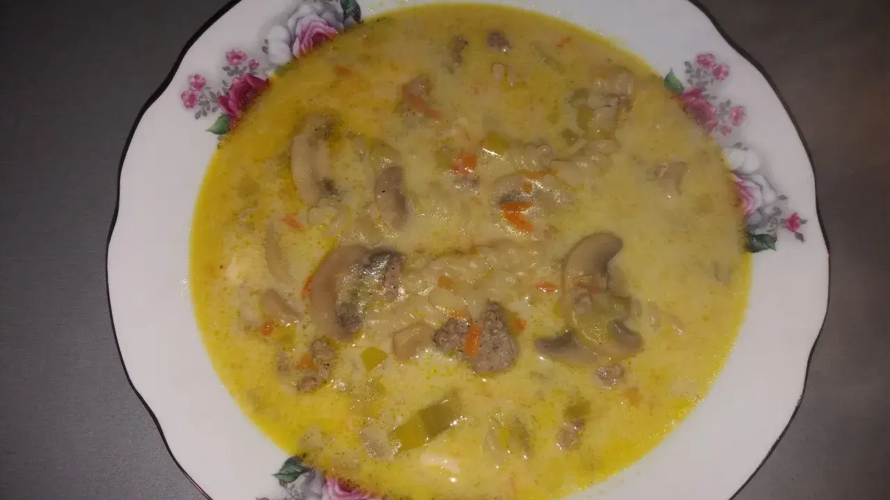 Gęsta zupa porowa z serkiem topionym, mięsem mielonym, pieczarkami i makaronem, podana w ozdobnym talerzu.