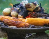 Kukurydza pieczona na ogniu. Zastanawiasz się, ile gotować kukurydzę, by była idealna? Ta na zdjęciu wygląda na gotową!