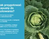 Zbliżenie na świeżą, zieloną kapustę z widocznymi liśćmi.