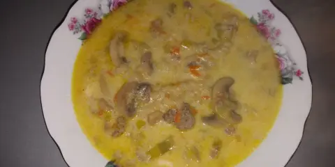 Gęsta zupa porowa z serkiem topionym, mięsem mielonym, pieczarkami i makaronem, podana w ozdobnym talerzu.