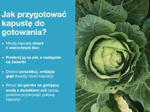 Zbliżenie na świeżą, zieloną kapustę z widocznymi liśćmi.