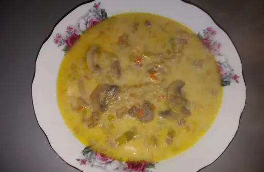 Gęsta zupa porowa z serkiem topionym, mięsem mielonym, pieczarkami i makaronem, podana w ozdobnym talerzu.