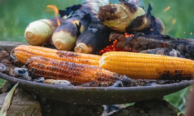 Kukurydza pieczona na ogniu. Zastanawiasz się, ile gotować kukurydzę, by była idealna? Ta na zdjęciu wygląda na gotową!